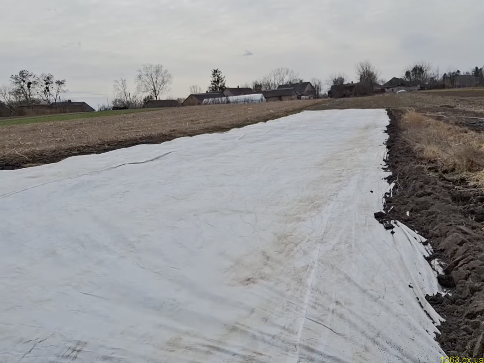 Види агроволокна для захисту рослин від морозів